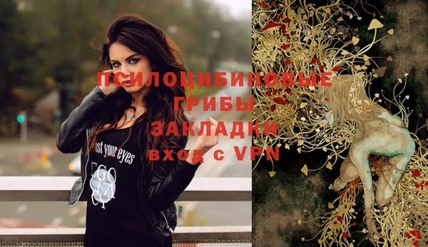 прущая мука Алзамай