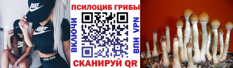 где купить   мега ссылки  Галлюциногенные грибы мицелий  Туймазы 