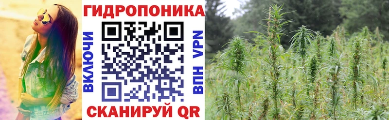 Бошки марихуана конопля Туймазы